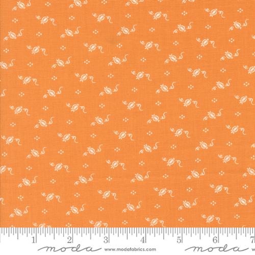 Tiny Pumpkins - Pumpkin
