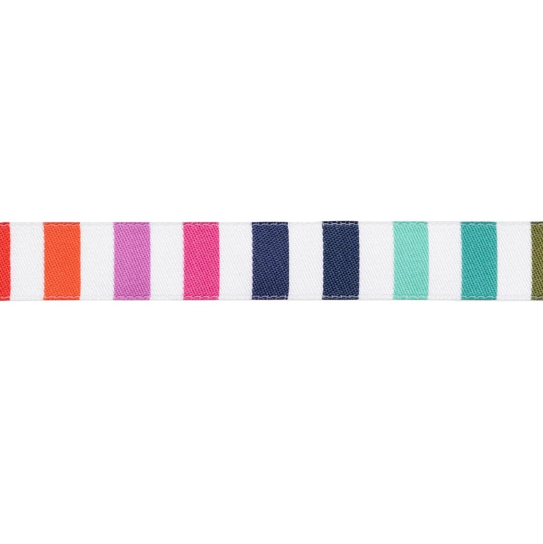 Tula Pink Tabby Road Ribbon