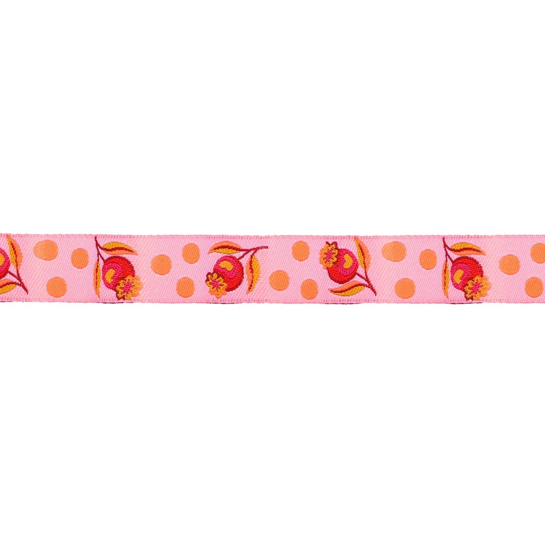 Tula Pink Untamed Ribbon