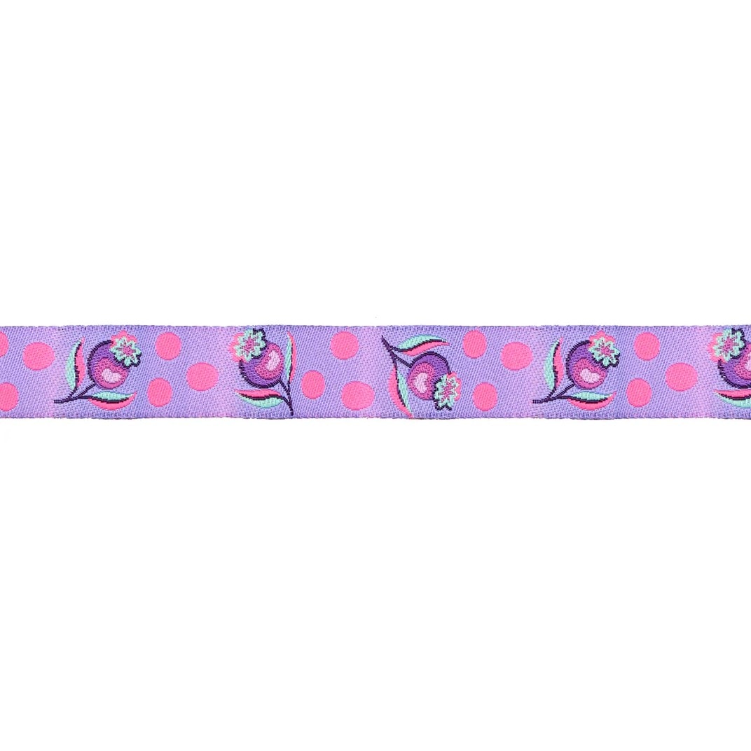 Tula Pink Untamed Ribbon