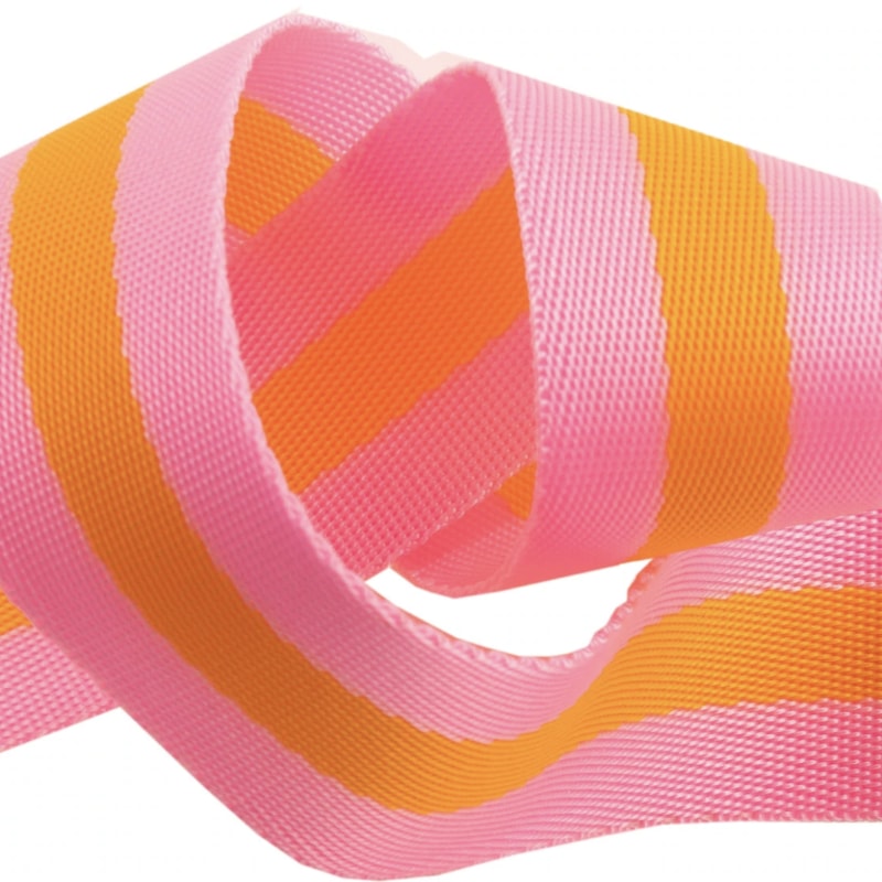 Tula Pink Webbing - Pink & Orange - 1.5"