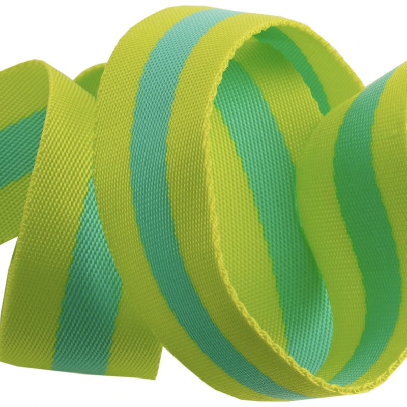 Tula Pink Striped Webbing - Lime & Aqua - 1.5"