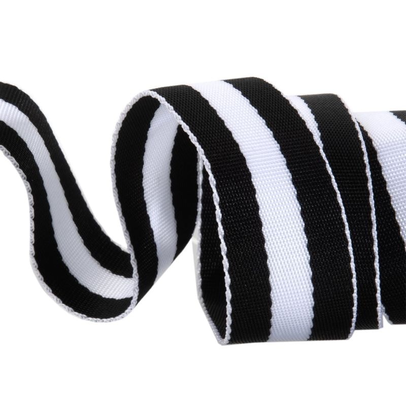 Tula Pink Striped Webbing - Black & White - 1.5"