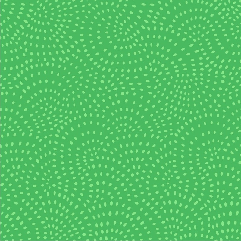 Twist - Kiwi
