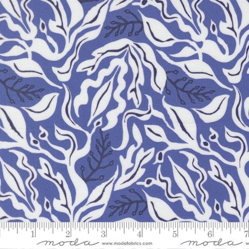 Under The Sea - Blue Whale