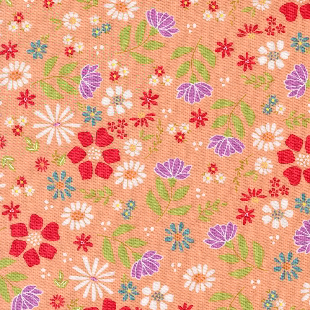 Wild Rose - Cantaloupe