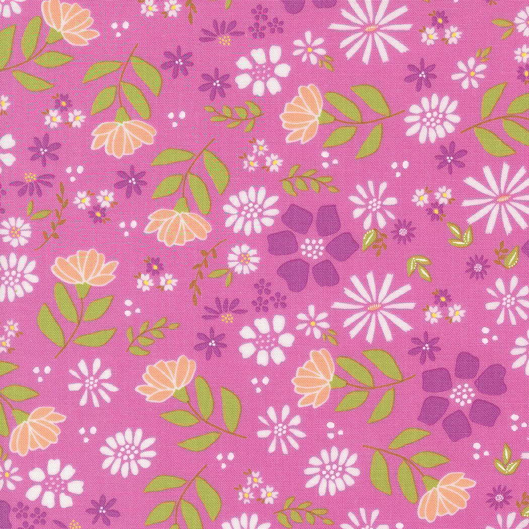 Wild Rose - Sweet Pea