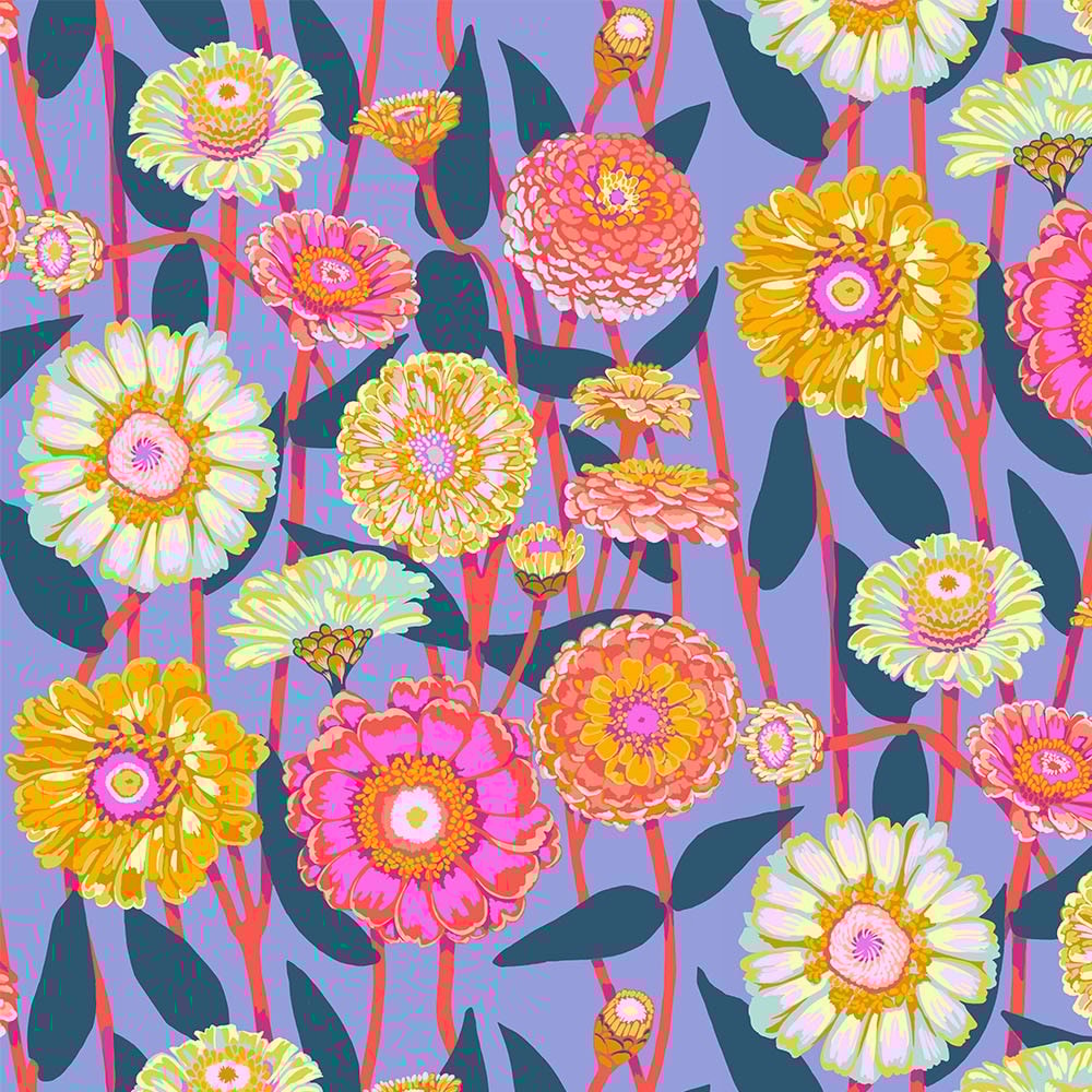 Zinnia Show - Glow